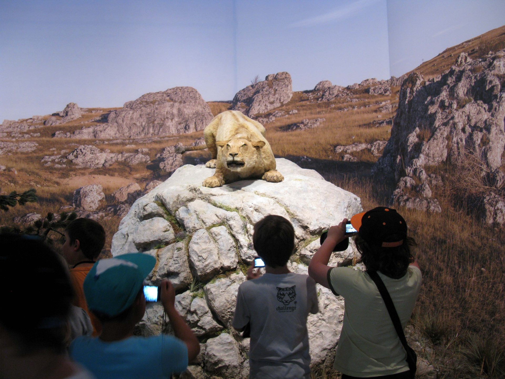 GROTTE CHAUVET 2 - ARDÈCHE 2022-2 - Billets Touristiques