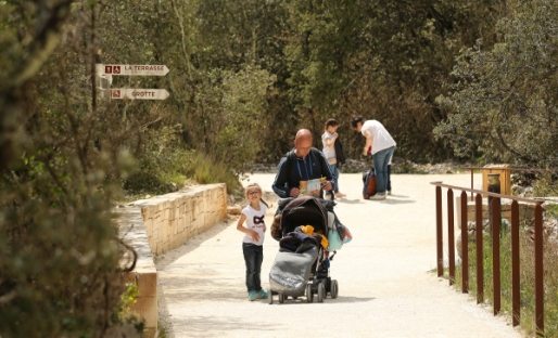 Chemin du parc boisé