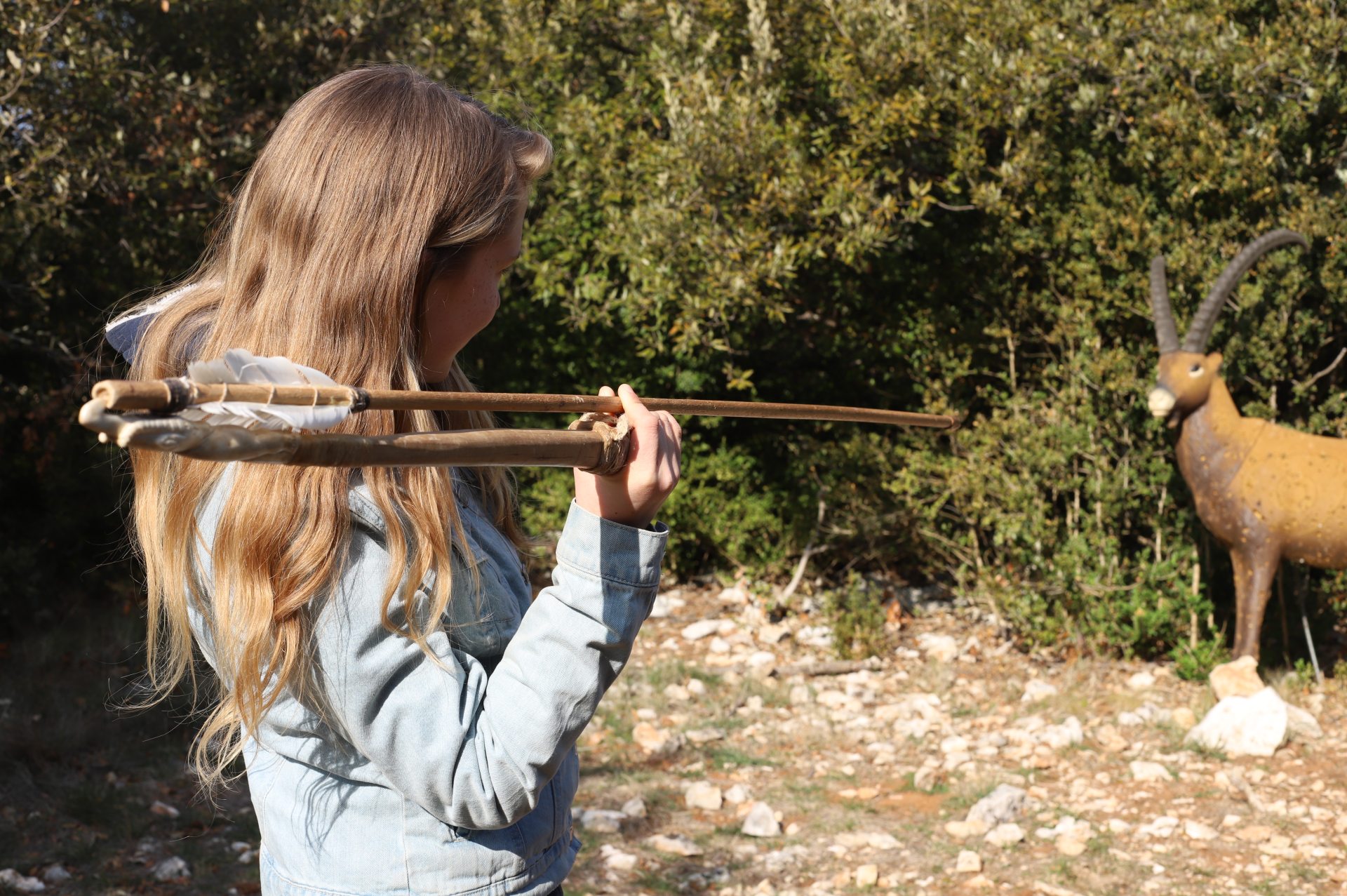 Animation Tir au propulseur