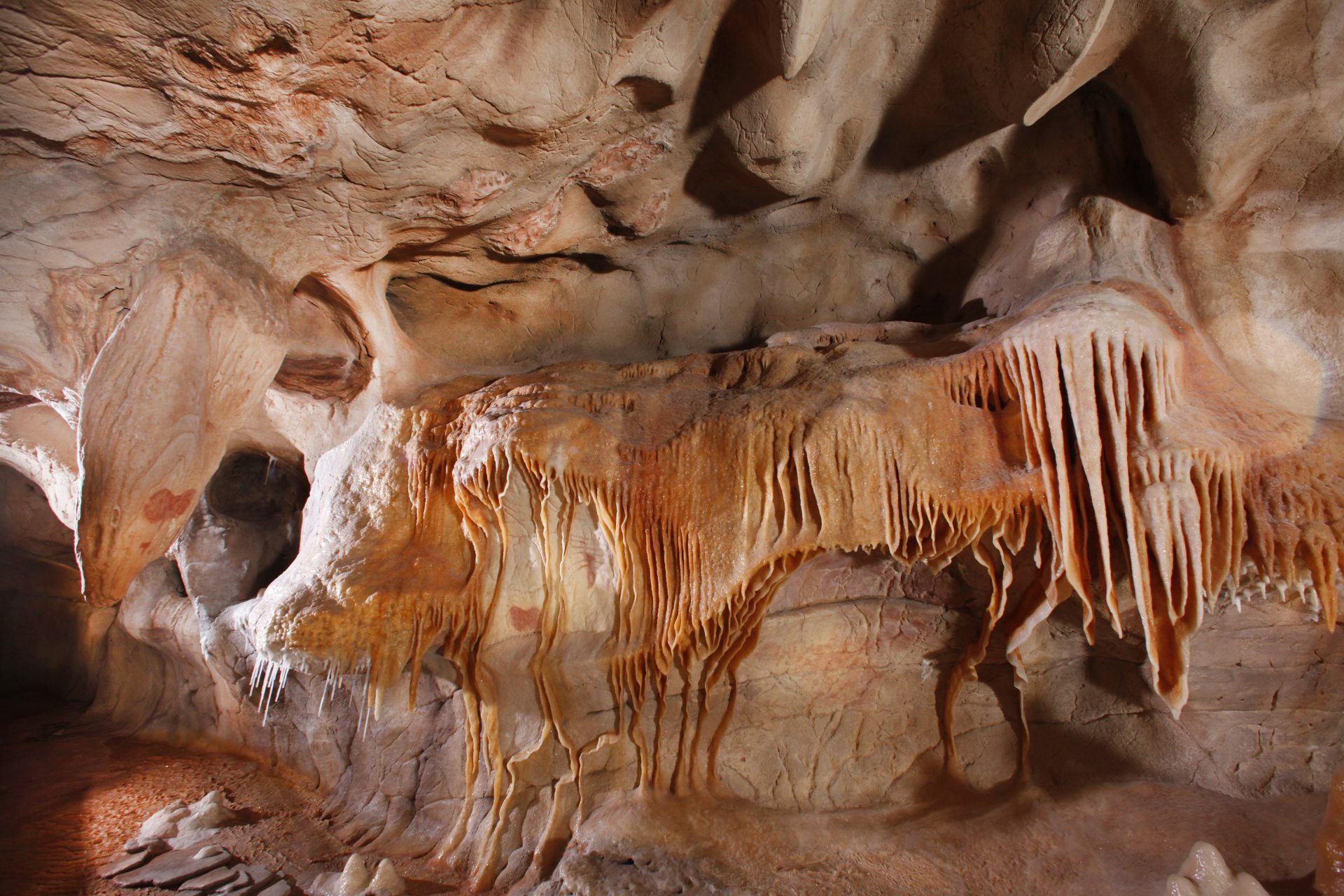 La concrétion aux insectes visible durant la visite de la réplique de la grotte.