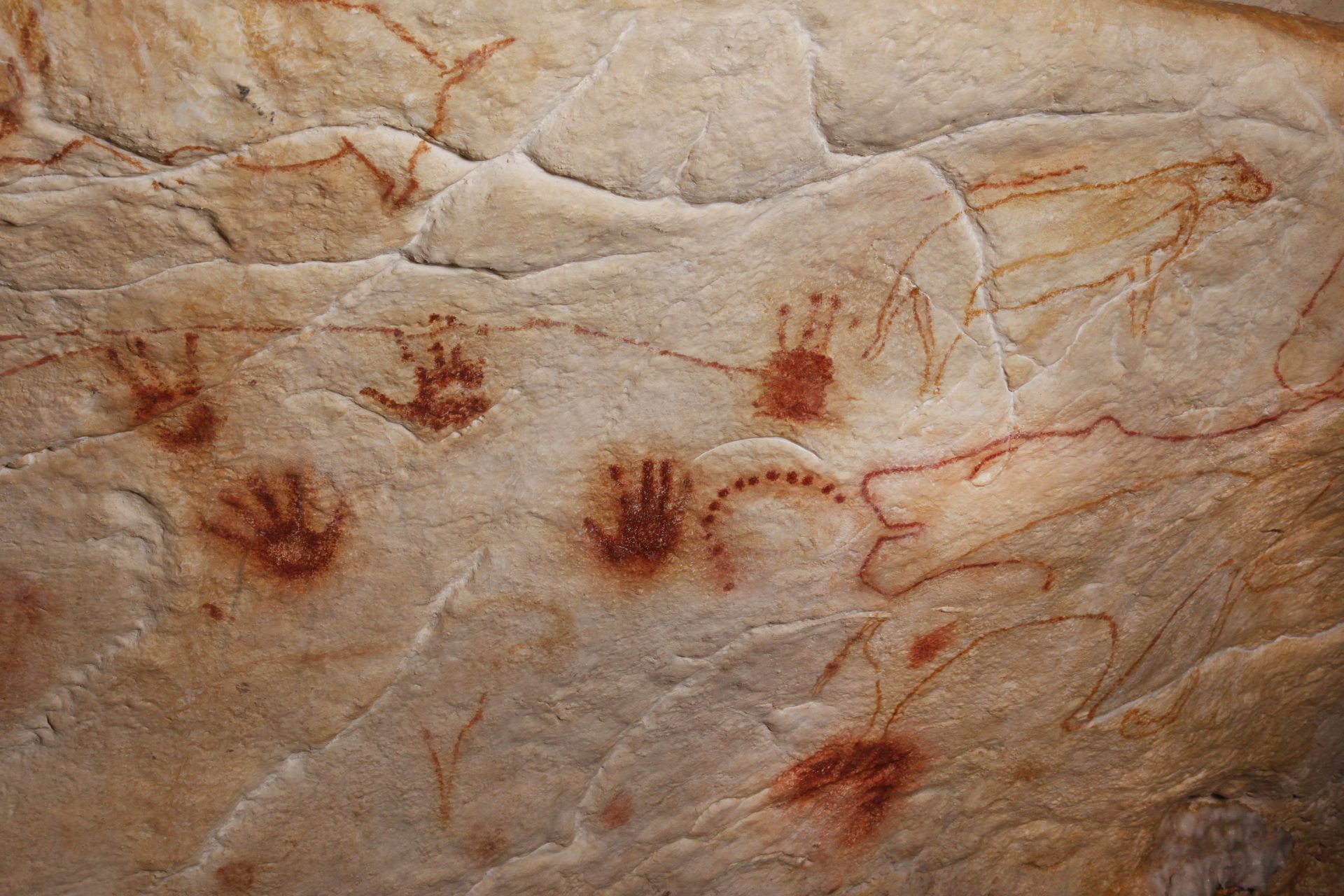 Des mains positives, empreintes laissées dans la grotte par nos ancêtres aurignaciens.