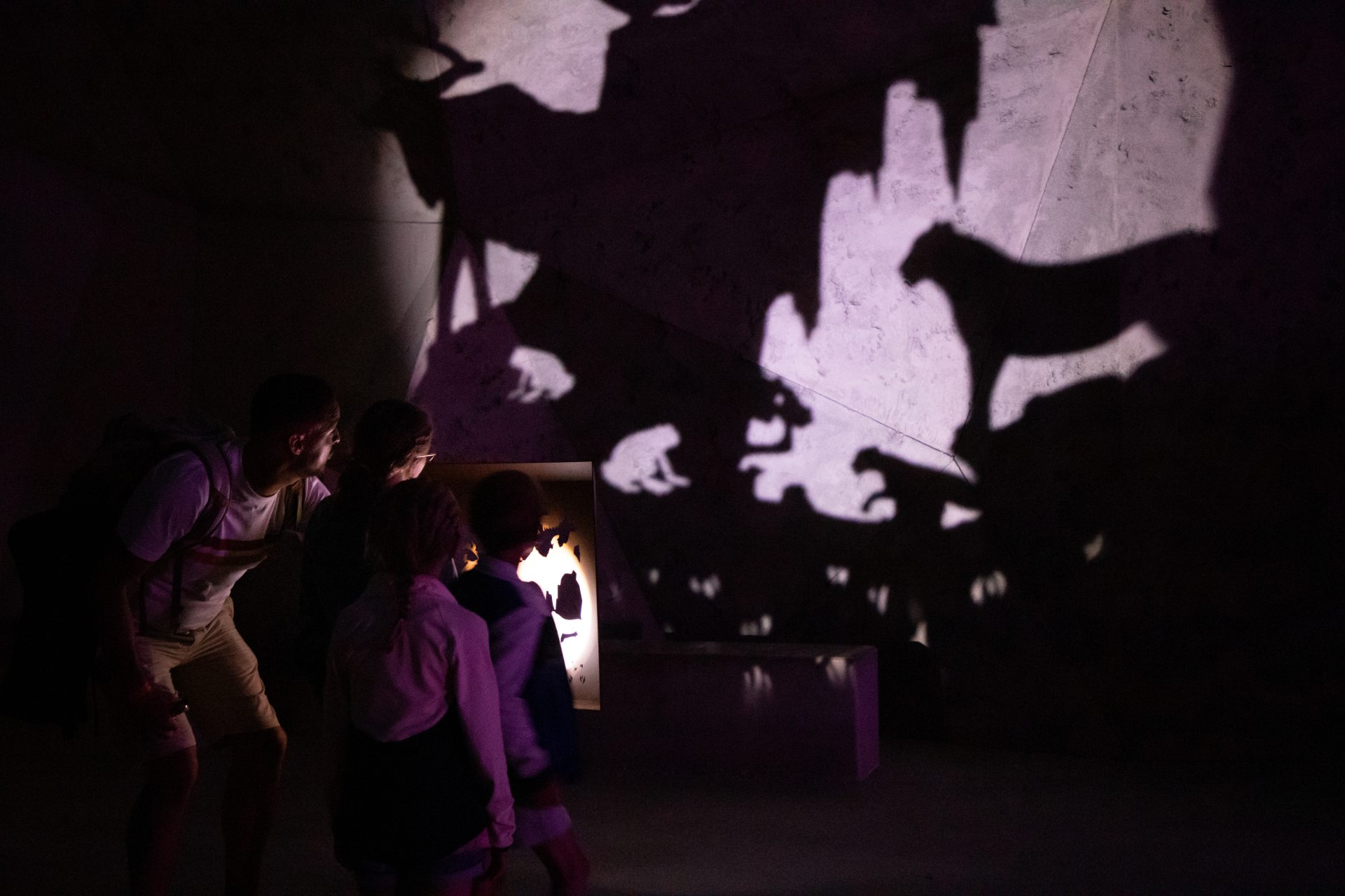 Jeux d'ombres et de lumières pendant les Nocturnes de Chauvet : jeu avec les ombres portées révélant des formes animales.