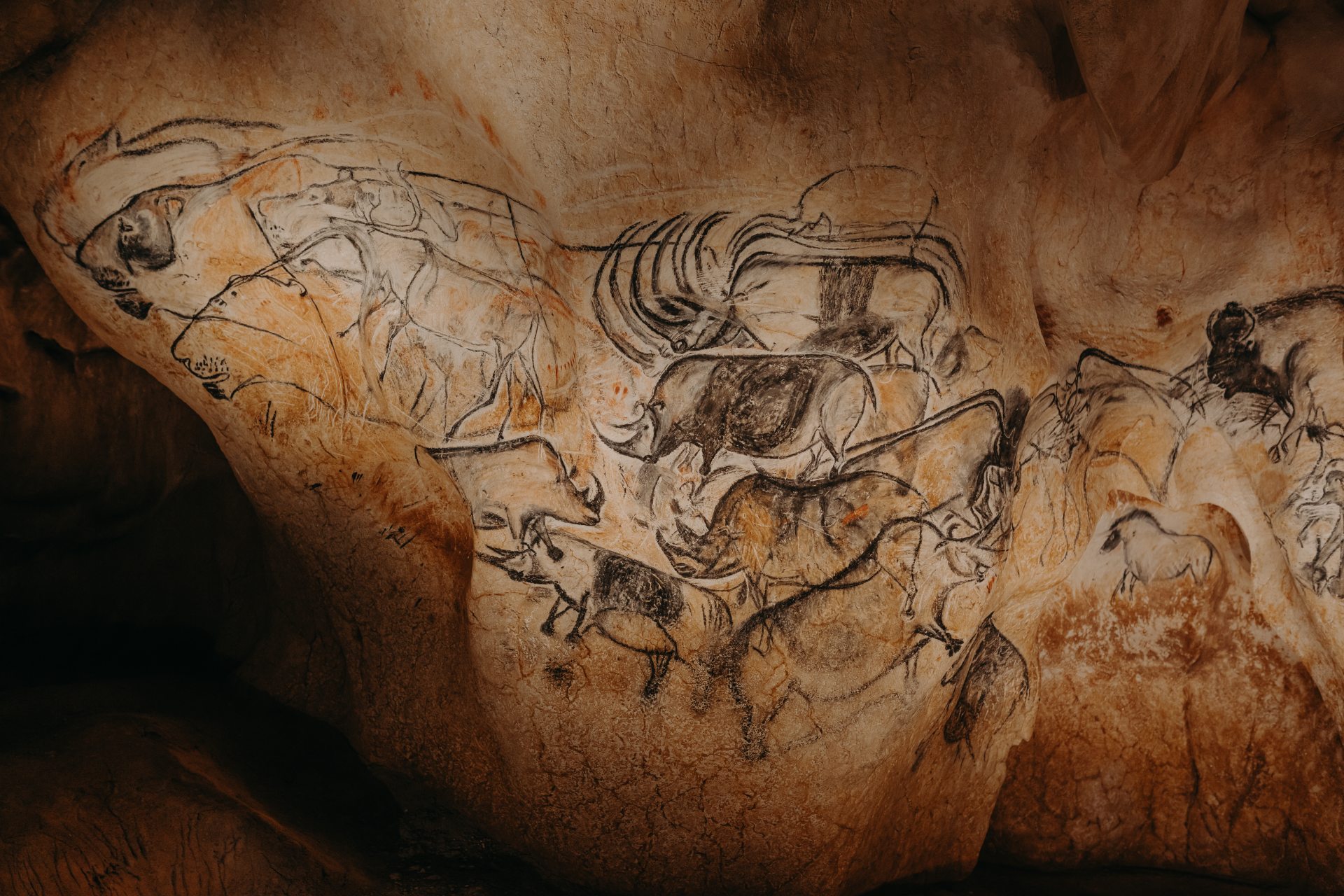Le panneau des lions dans la restitution de la grotte Chauvet. La nouvelle mise en lumière.