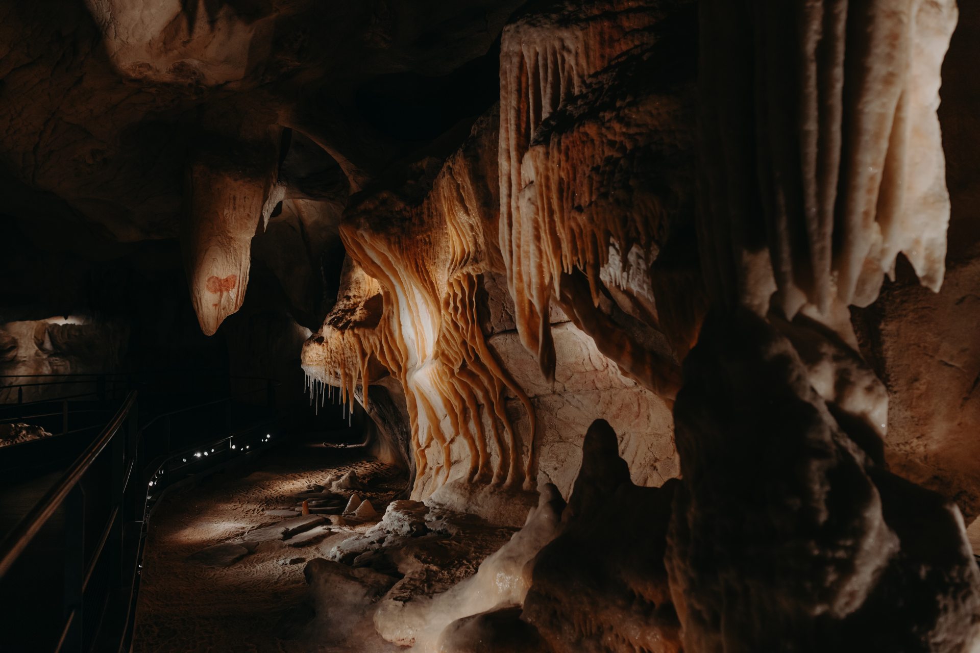 La concrétion aux insectes dans la restitution de la grotte