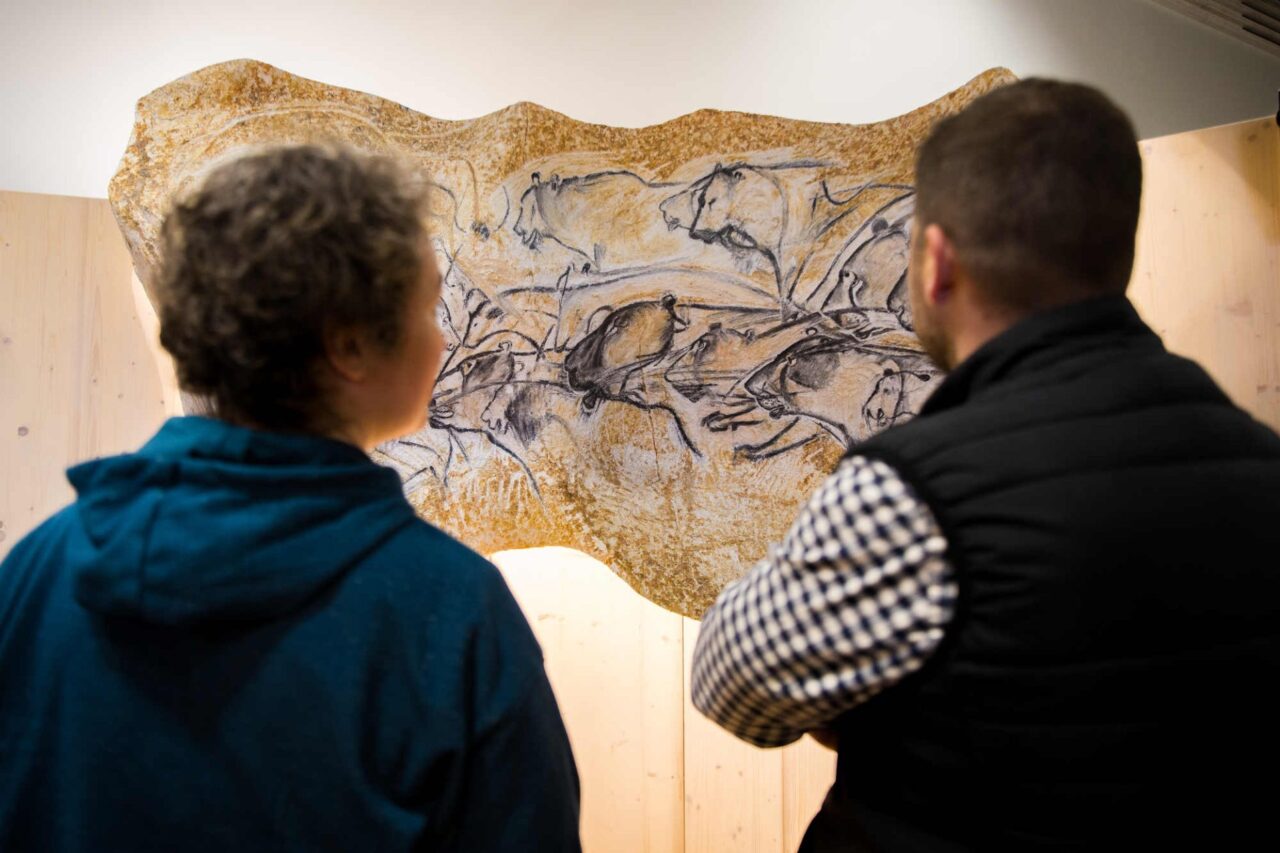 Etude d'un panneau ornée - Exposition "Grotte Chauvet, l'Aventure Scientifique"