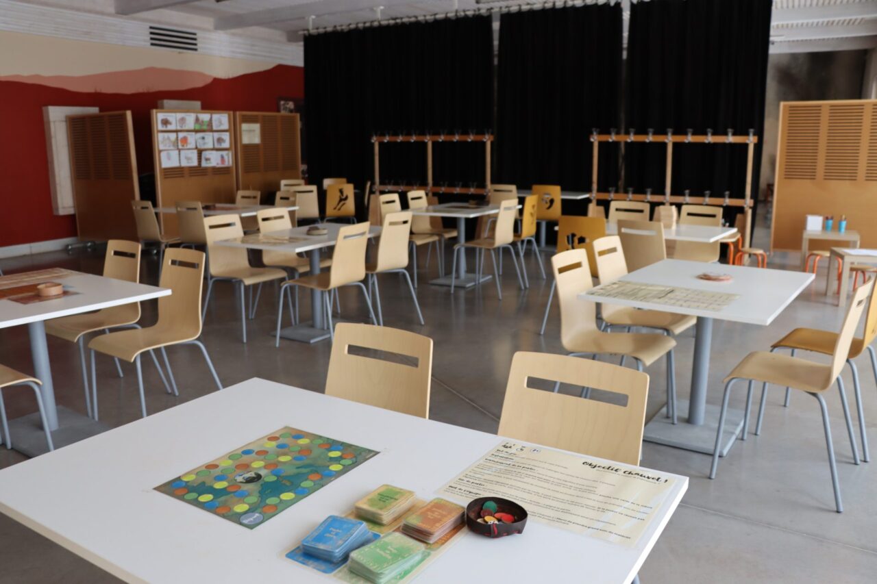 La Ludo Steppe de la Grotte Chauvet 2 : espace de jeux de sociétés sur la Préhistoire.