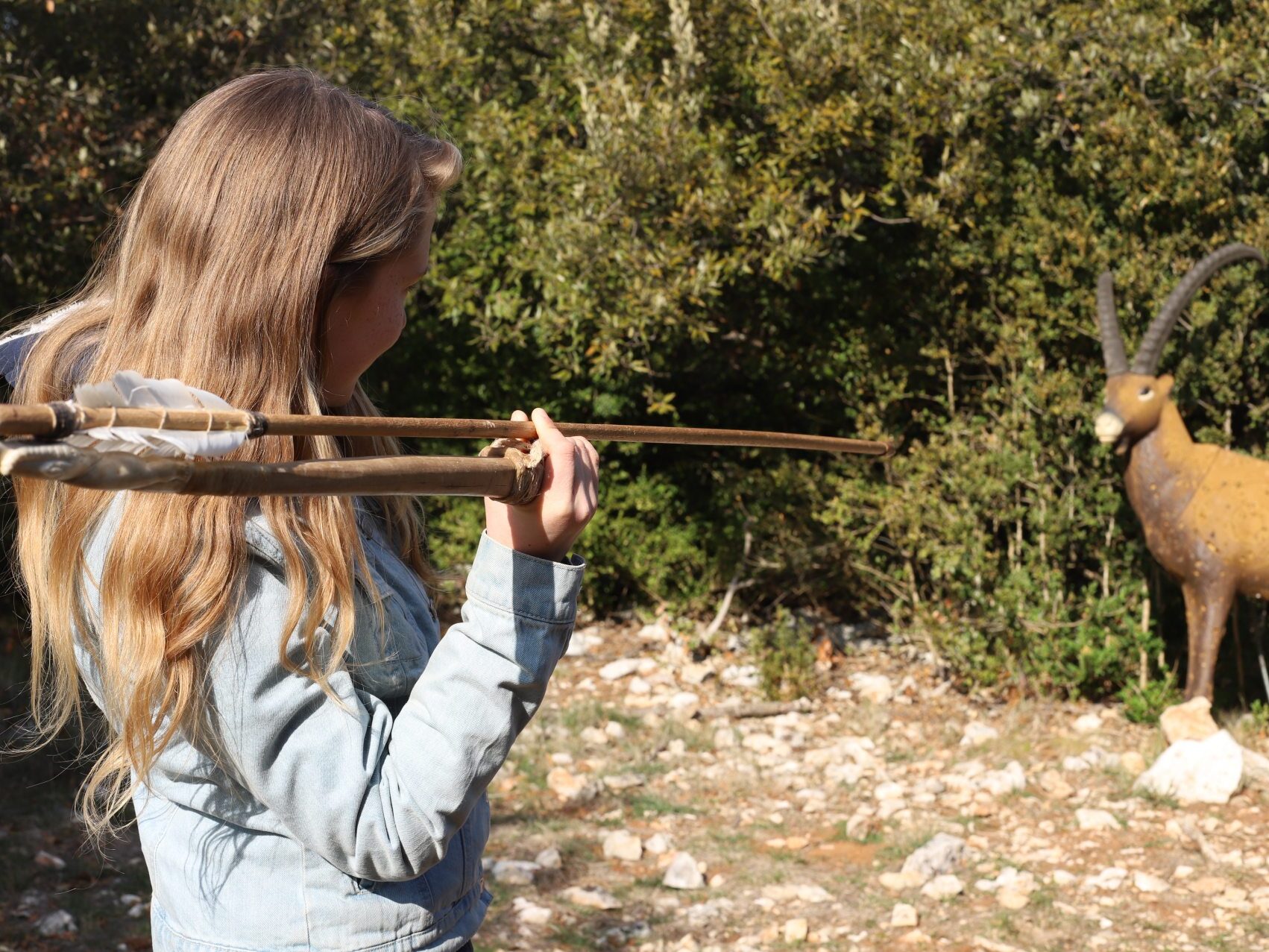 Animation Tir au propulseur