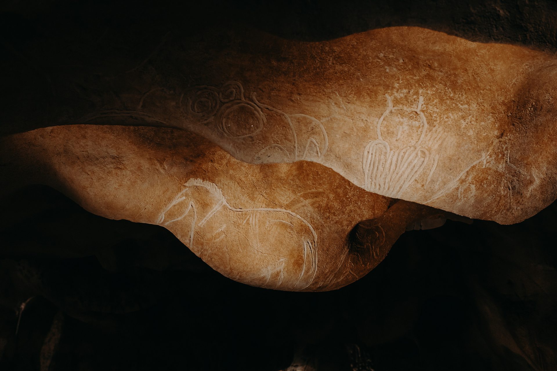 Le panneau au hibou gravé restitué dans la Grotte Chauvet 2.