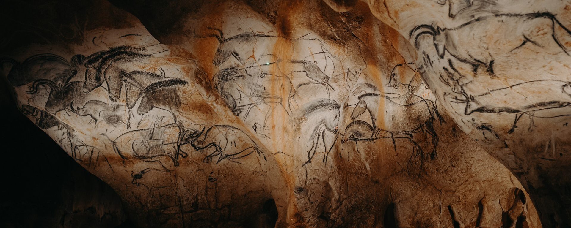 Vue du Panneau des Chevaux dans la restitution de la Grotte Chauvet 2.