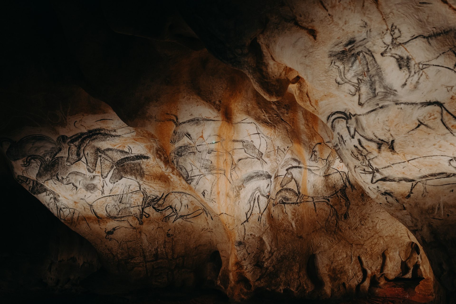 Vue du Panneau des Chevaux dans la restitution de la Grotte Chauvet 2.